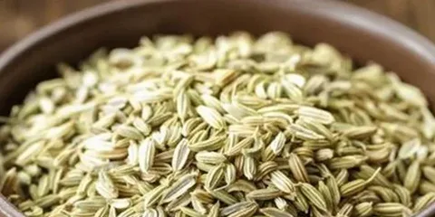 زیره سبز سبزوار با طعمی دلنشین و عطر اصیل